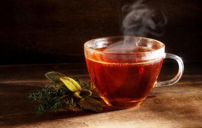 فکر میکردید چای اینهمه فایده داشته باشد؟ | چای بهترین نوشیدنی روزانه به سلامت شما کمک می کند