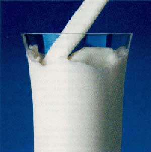 چه‌ کار کنیم‌ شیر سر نرود