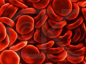 اجزای تشکیل دهنده خون را بشناسیم