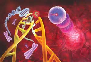 دایره المعارف تمامی جهش های ژنی انسان طراحی شد