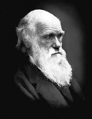 نظر داروین درباره خدا