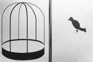 آزمایش پرنده در قفس