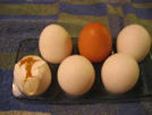 پوست تخم مرغ چه کار می کند ؟