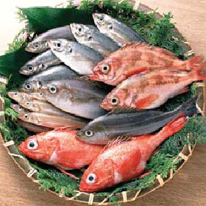 ارزش غذایی ماهی