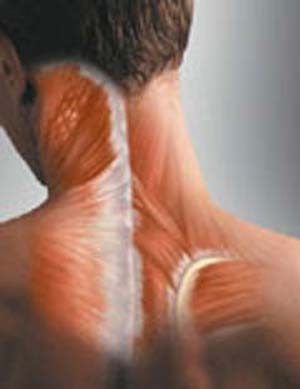 خستگی عضلات علت بسیاری از دردها
