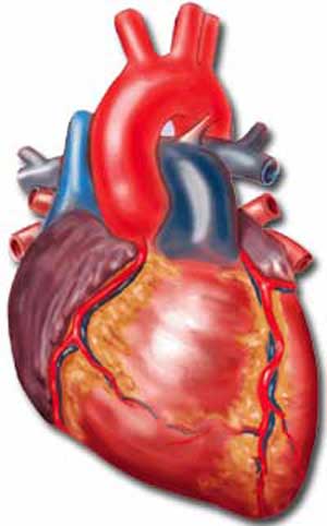 عوارض قلبی بیشتر با تکرار آنژیوپلاستی
