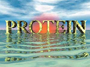 پروتئین از پیشروی سرطان جلوگیری می کند