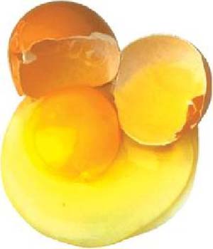 زرده تخم مرغ چرا زرد است؟