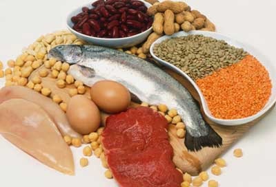 میزان نیاز روزانه به پروتئین حیوانی و گیاهی