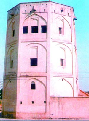 قلعه محمد خان دشتی خورموج