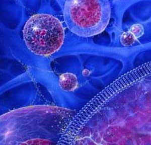 درمان اسکار سالک با استفاده از سلولهای بنیادی