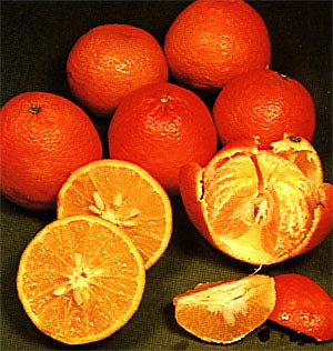 فروماژ پرتقال