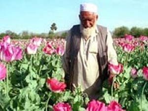 ۲۲ مهر ۱۳۸۶ ــ ۱۴ اکتبر ــ ۳ «تصویر روز» از افغانستان در رسانه ها