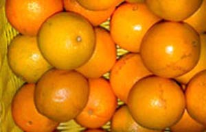 مربای پوست پرتقال