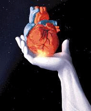 تأثیر بیماری مزمن کلیه بر قلب