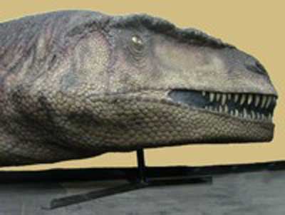 بقایای گونه‌ای از دایناسورهای عظیم گوشتخوار یافته شد