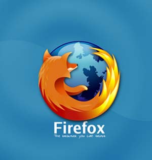 اینترنت اکسپلورر، FireFox: ابزارهای کوچکی برای دید بهتر