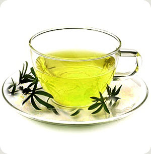 چای سبز، ضدسرطان است
