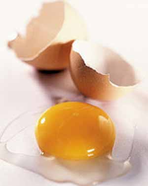 مصرف کشت خشک شده باسیلوس سابتیلیس بر کیفیت تخم مرغ