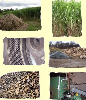 تراکم زیست  ـ انرژی حاصل از چوب، زباله و ضایعات کشاورزی