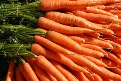 همه چیز درباره هویج
