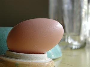تخم مرغ و وجود ماده ای بنام لستین