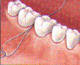 دندانپزشکی و بهداشت دهان و دندان