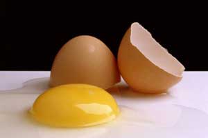 تخم مرغ؛ غنی‌ترین منبع پروتئین
