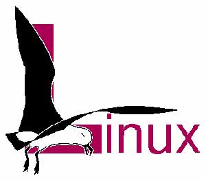 یک سیستم فایل موازی نسل جدید برای کلاسترهای لینوکس