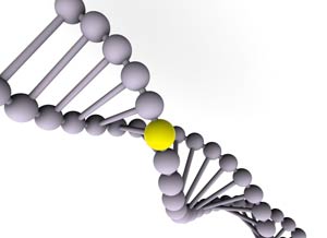 بررسی علم ژنتیک از تولد تاکنون