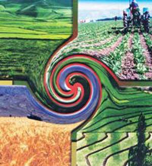 نقش فناوری اطلاعات در توسعه کشاورزی