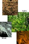 تاثیر اقلیم بر خصوصیات مورفولوژیکی و کانی‌شناسی بعضی از خاک های تشکیل شده از مواد مادری آهکی در مناطق جنگلی شمال ایران