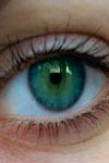 نتایج برداشتن غشای سیکلیتیک ناشی از ضربه نافذ چشمی به روش ویترکتومی با ایجاد برش شعاعی در غشا