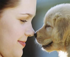 خطرات حیوانات خانگی برای سلامت انسان
