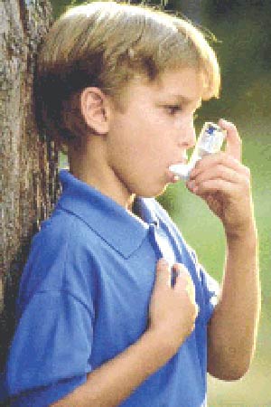 مهم‌ترین گیاهان داروئی مؤثر در درمان آسم