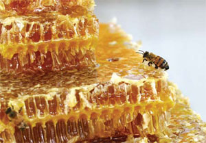 عسل طبیعی را چطور بشناسیم؟