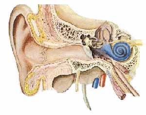 ناشنوایی و کم شنوایی درکودکان و راه های پیشگیری از آن