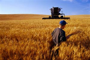 سیاست های کلان در بخش کشاورزی ـ بخش ۲