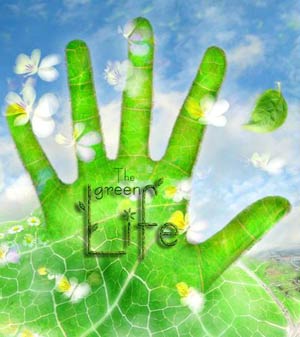 ۵ افسانه در مورد انرژی‌های سبز