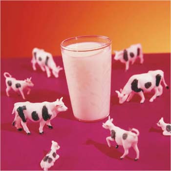 چه طور باید شیر بخوریم