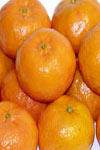 تولید کلون‌های عاری از ویروس ارقام نارنگی ساتسوما از تخمک‌های نابارور