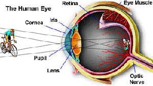 ساختمان چشم انسان (آناتومی چشم)
