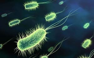 باکتریهای جدا شده از عفونت های بیمارستانی و  الگوی مقاومت آنتی بیوتیکی آنها در بیمارستان شهید محمدی بندرعباس