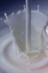 بررسی میزان باز پس زنی ترکیبات شیر توسط غشاء اولترافیلتراسیون
