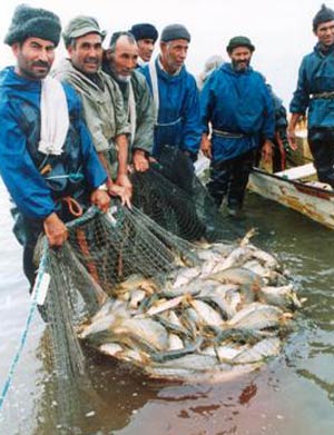توصیه هایی برای بهره برداری صحیح و پایدار از بنادر ماهیگیری