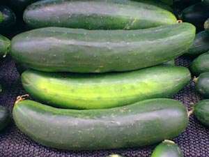 خیار Cucumber