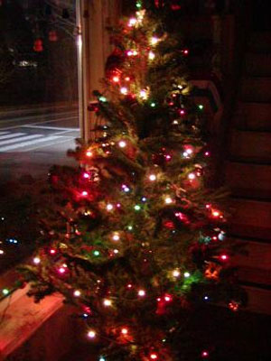 درخت کریسمس، نماد حیات دوباره