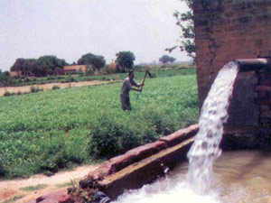 عوامل موثر بر تقاضای آب کشاورزی ـ بخش دهم