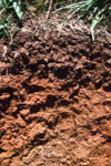 پایداری خاکدانه های خاک خشک متاثرازخصوصیات انتخابی (منتخب )خاک