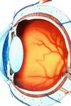 بررسی تست های تشخیص نارسایی تقارب در مبتلایان مراجعه کننده به مرکز چشم پزشکی الزهرا (س) زاهدان سال ۱۳۸۶